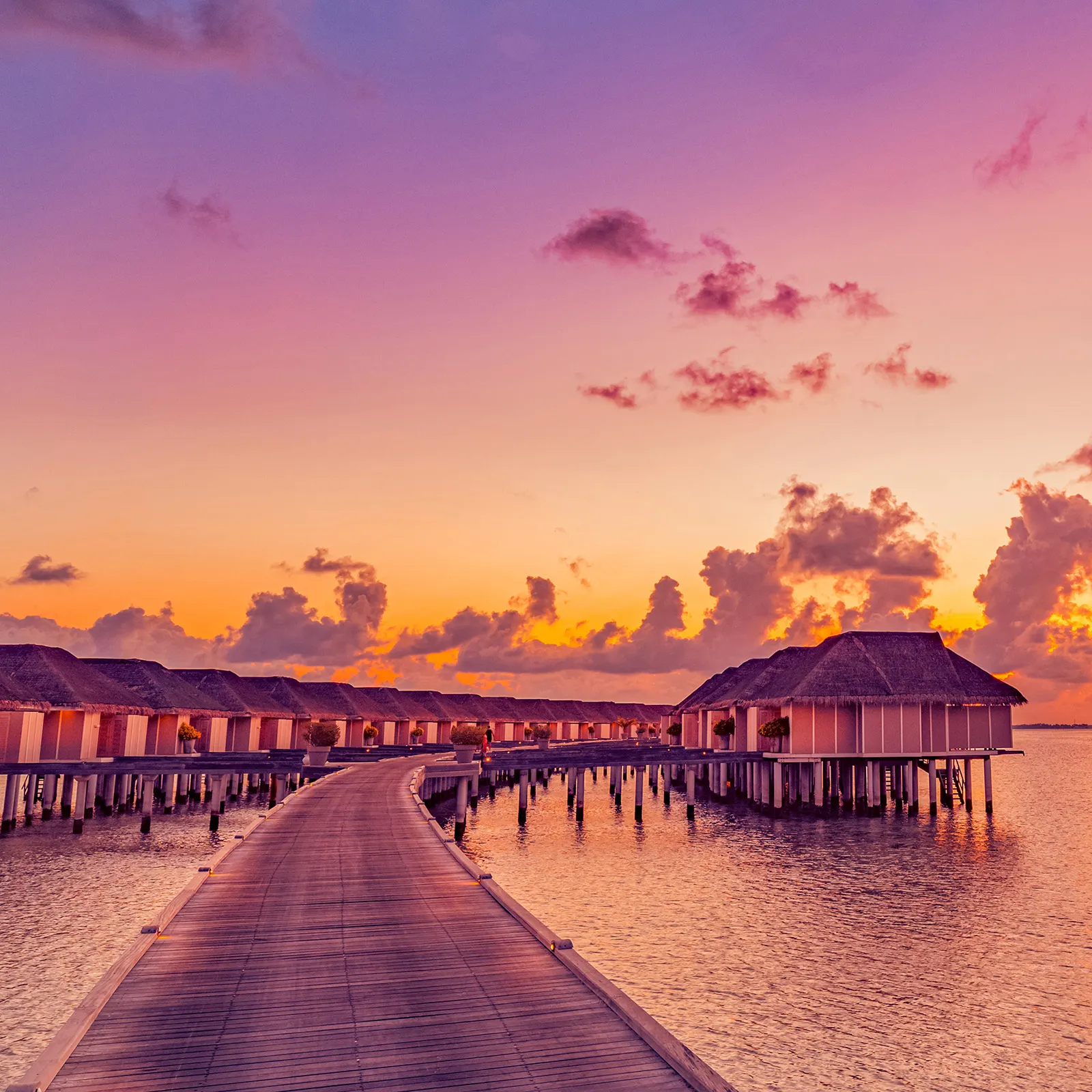 Подбор тура, изображение для таба